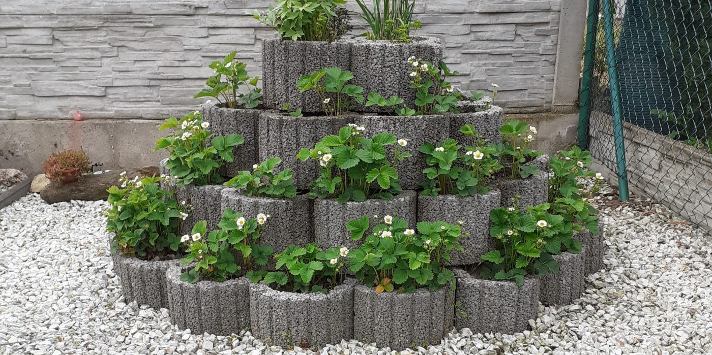 Foto Rundflor šedá jahodová pyramida