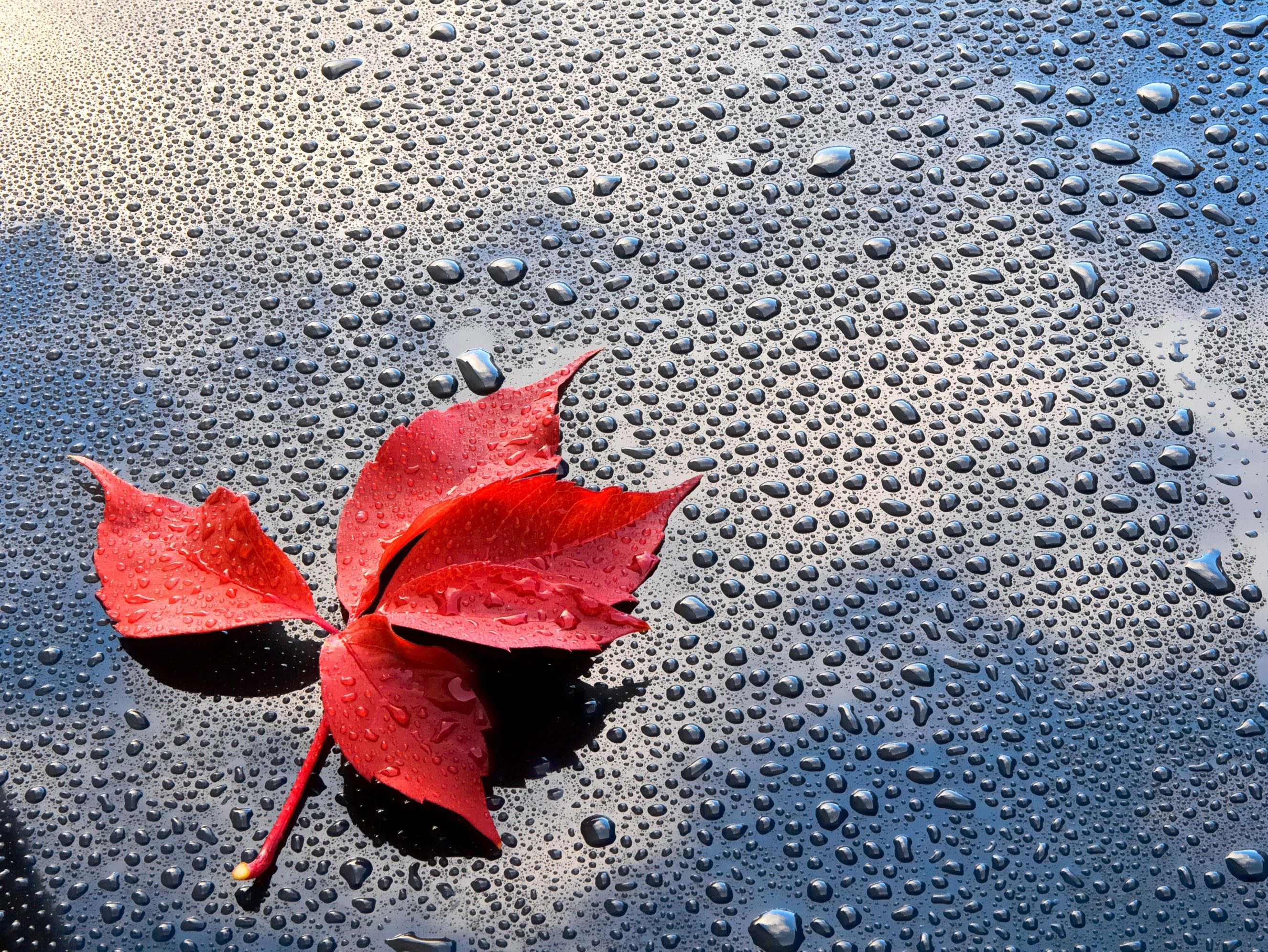 Foto povrchová ochrana