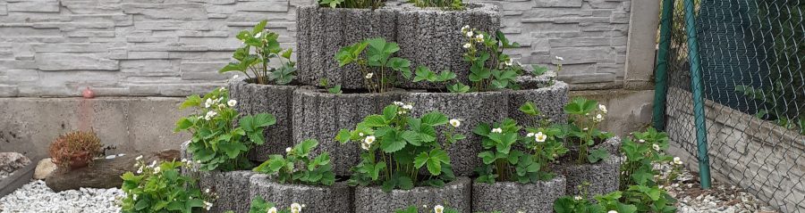 Foto Rundflor šedá jahodová pyramida