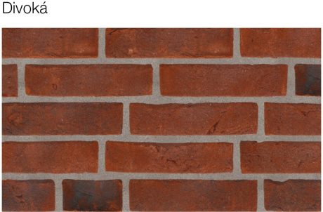 Vazba - Divoká | Lícové cihly a pásky Terca | Fasády