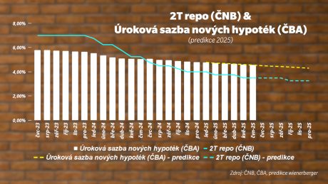 wienerberger info 2025