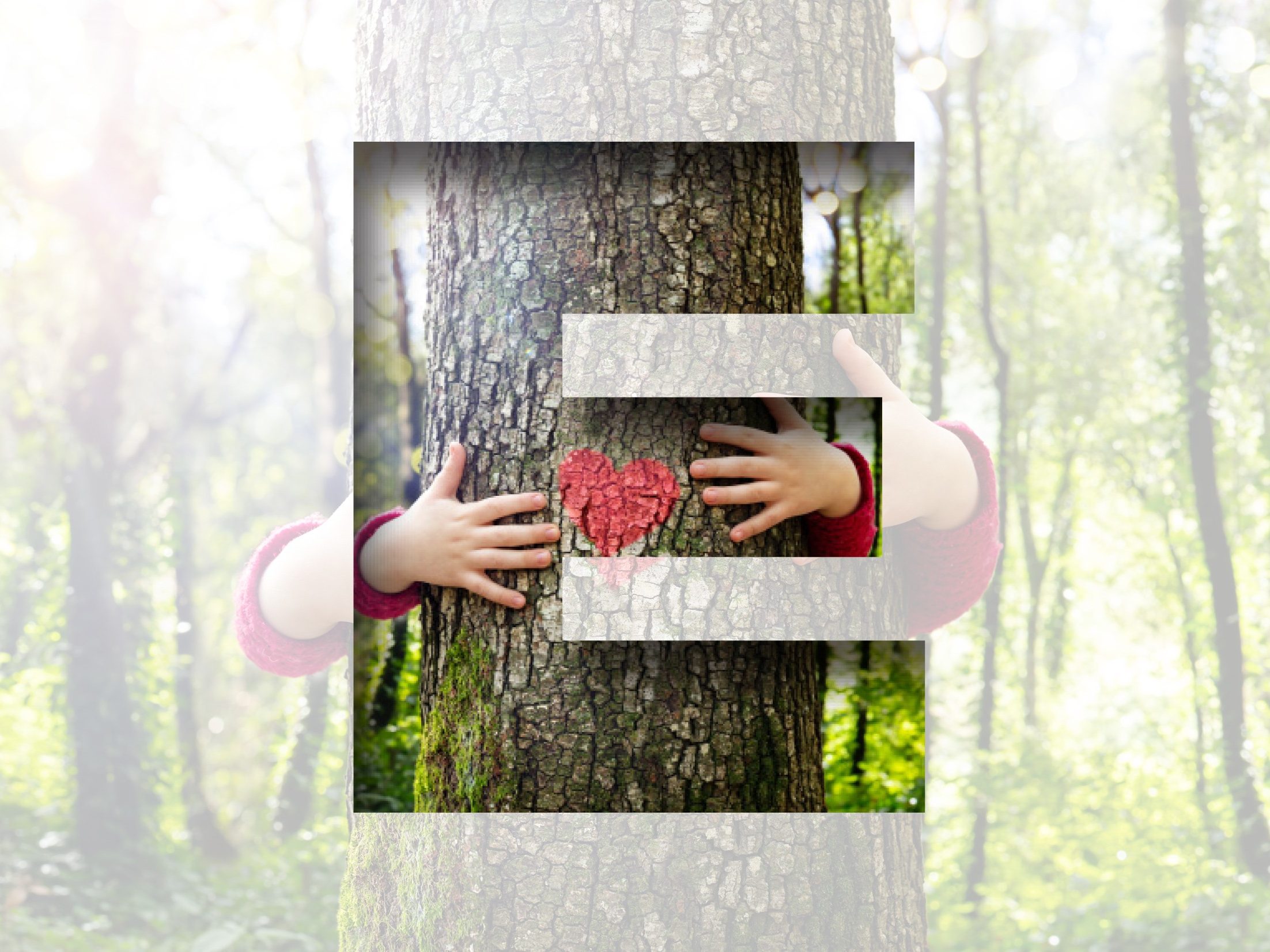 E Teaser box | ESG aktivity