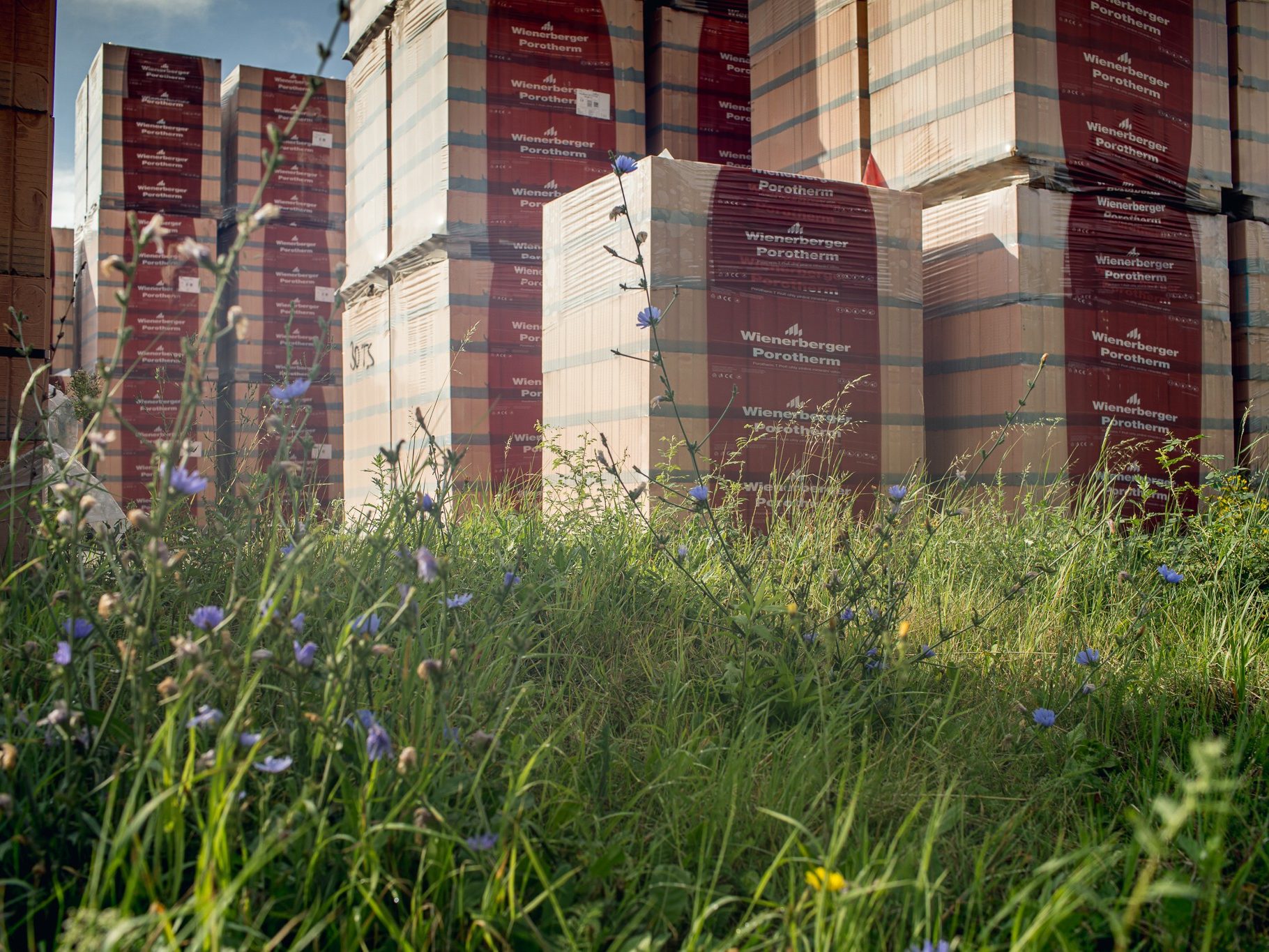 Fotografie ESG aktivity - Životní prostředí (evironmental)