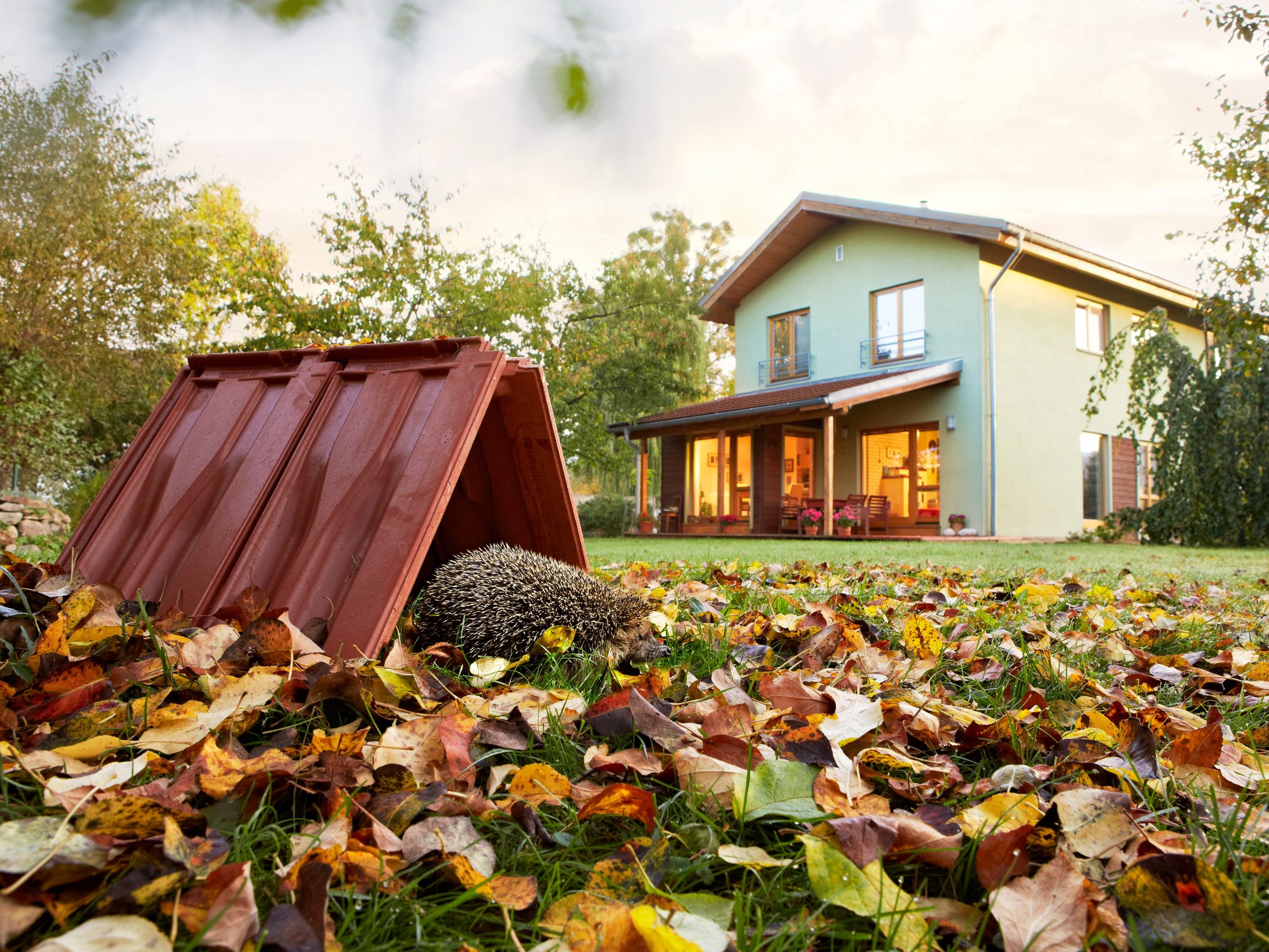 Kalendář Tondach 2018 - image lifestyle foto