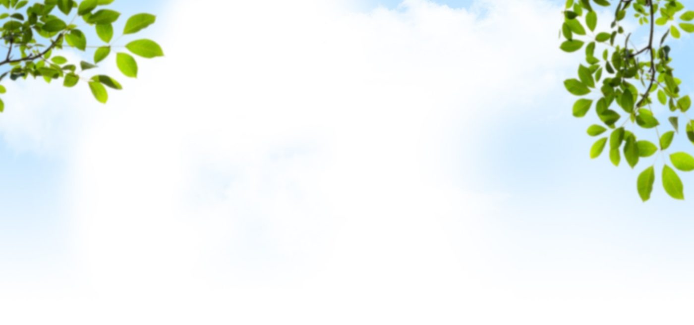 Wienerberger e4 dům - landing page