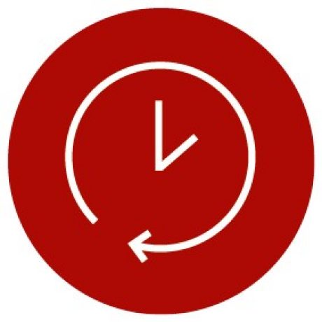 Ikona - Životnost a ochrana