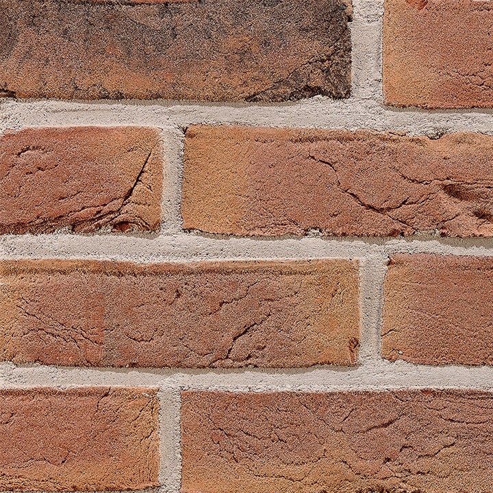 Fotografie Terca Kastanjebruin | Lícová cihla a obkladový pásek ražené