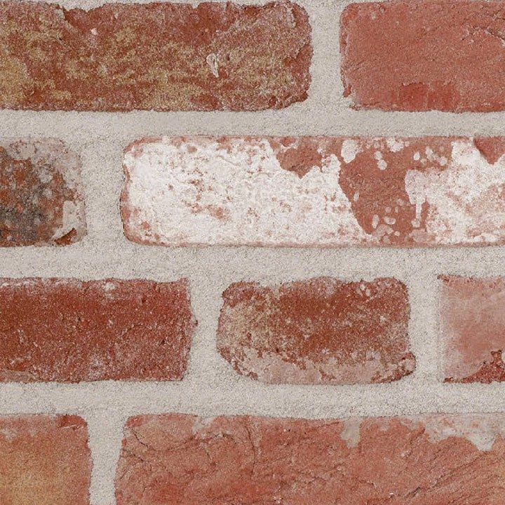 Fotografie Terca Oud Kempisch | Lícová cihla a obkladový pásek ražené