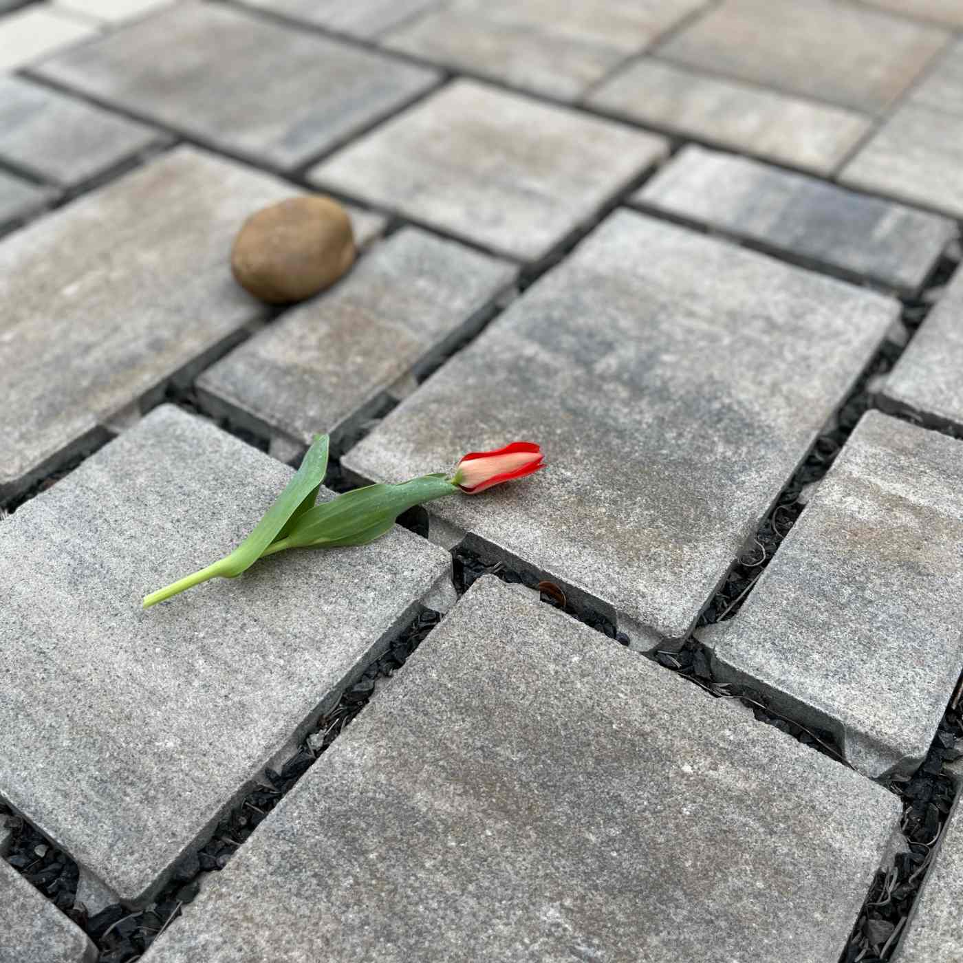 Fotografie dlažba Semmelrock Citytop Eko kombi bílohnědočerná