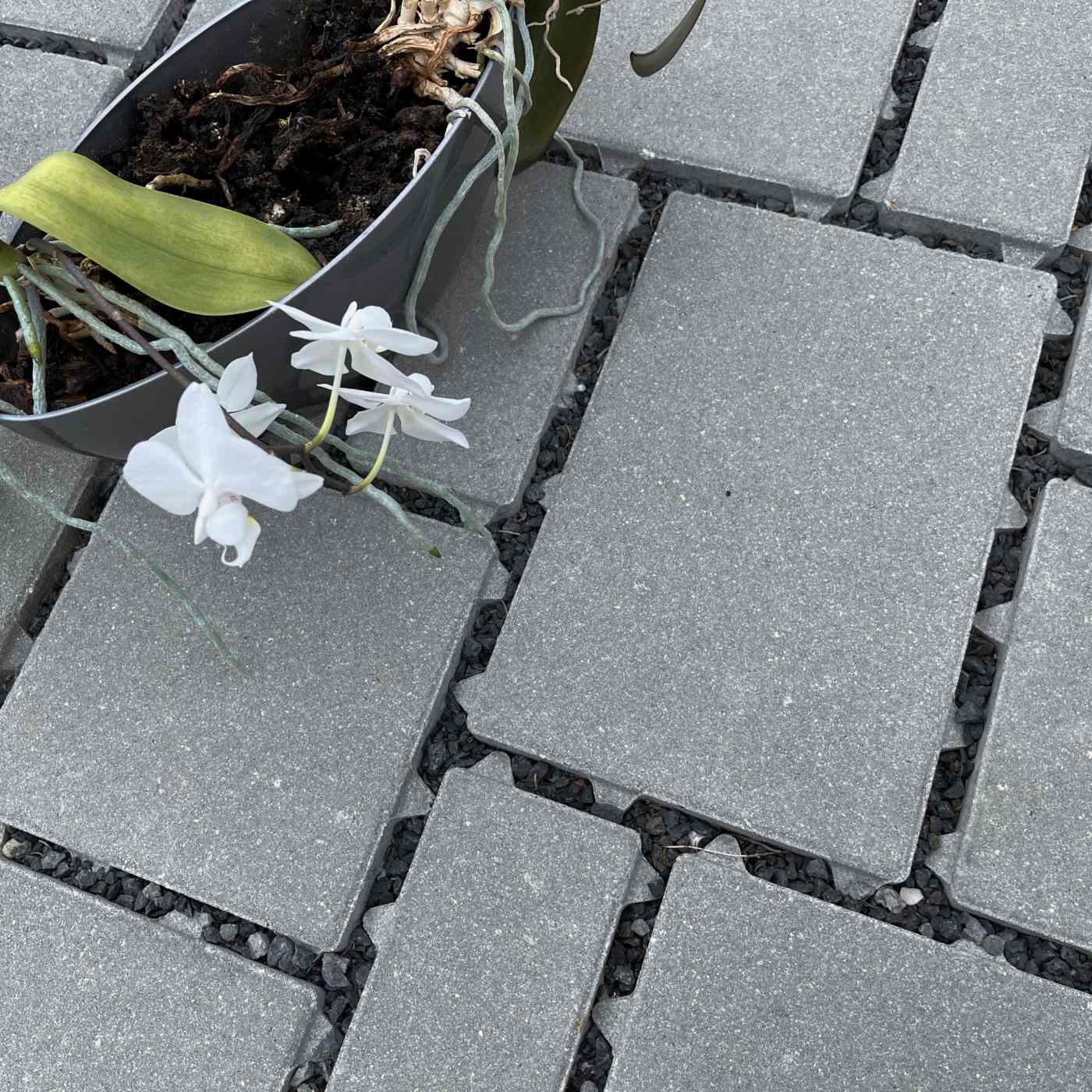 Fotografie dlažba Semmelrock Citytop Eko kombi světle šedá