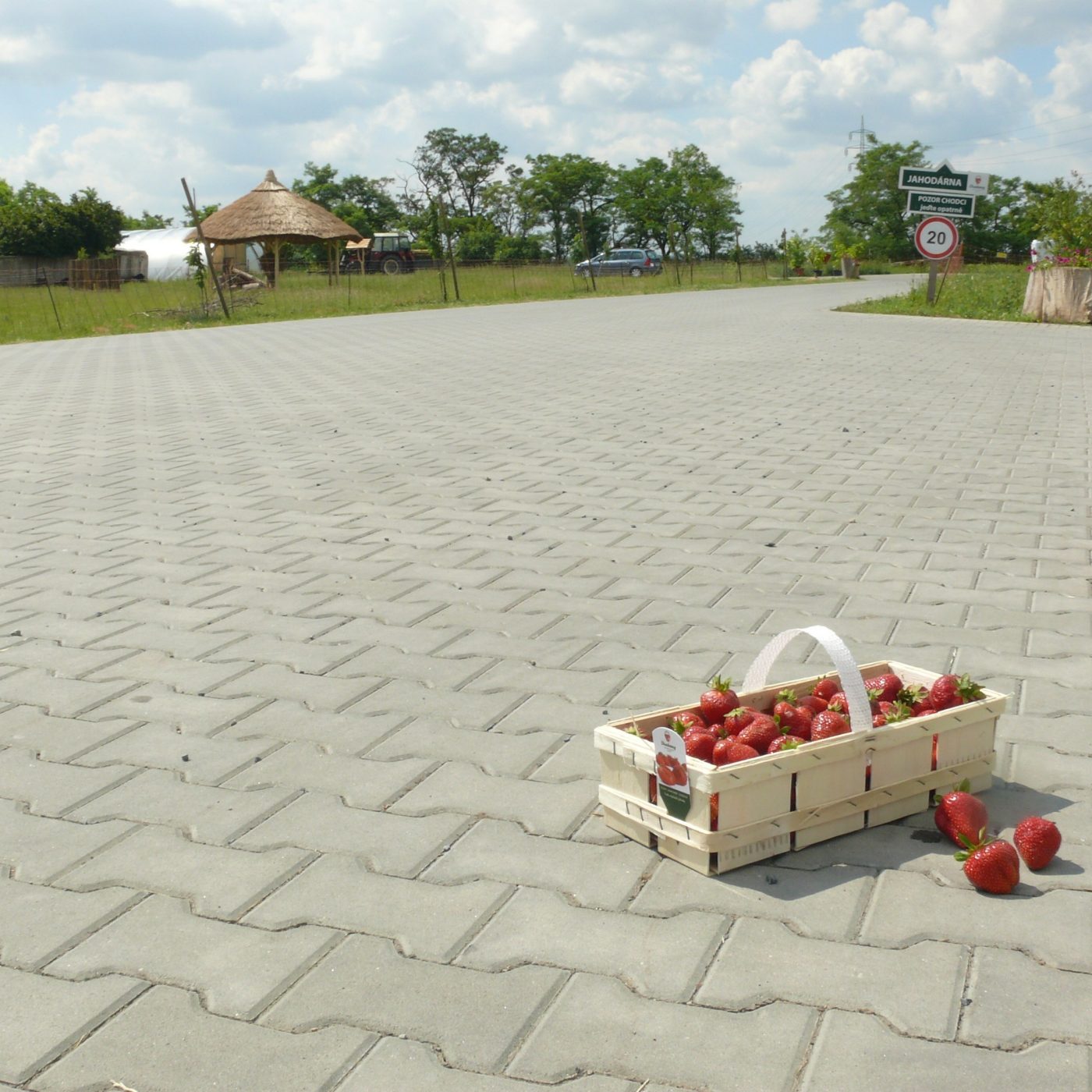 Foto realizace dlažba Íčko šedá