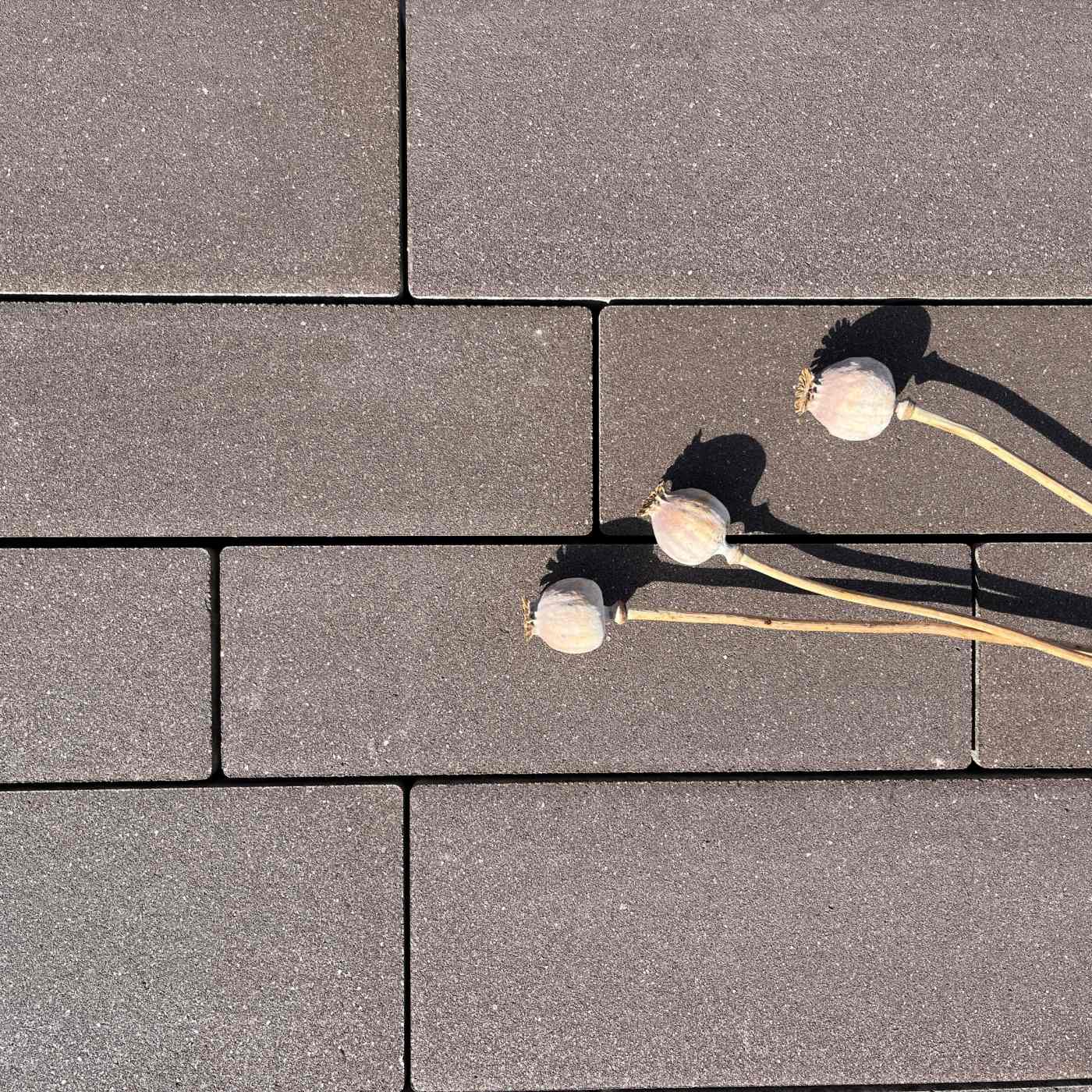 Semmelrock Natura Kombi - třpytivě hnědá