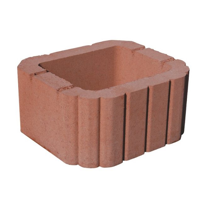 produkt Miniflor červená