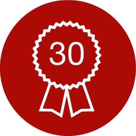 Ikona 30 let