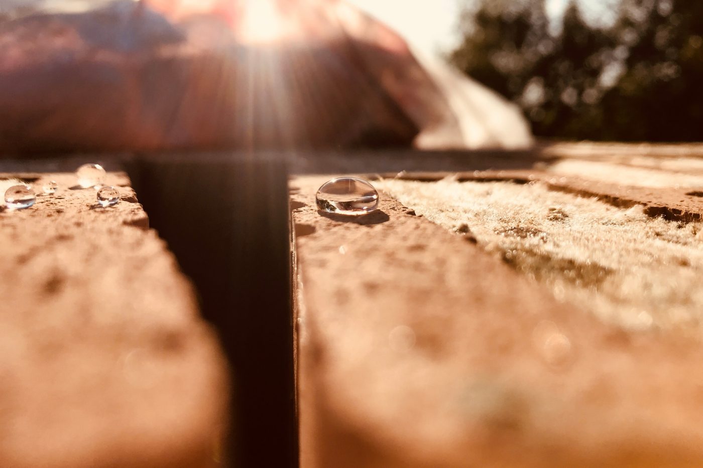 Vata a voda na cihle Porotherm T Profi (fotograf: Jan Huber)