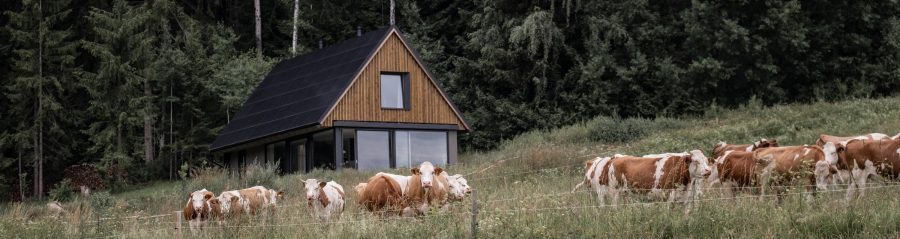 Český soběstačný dům