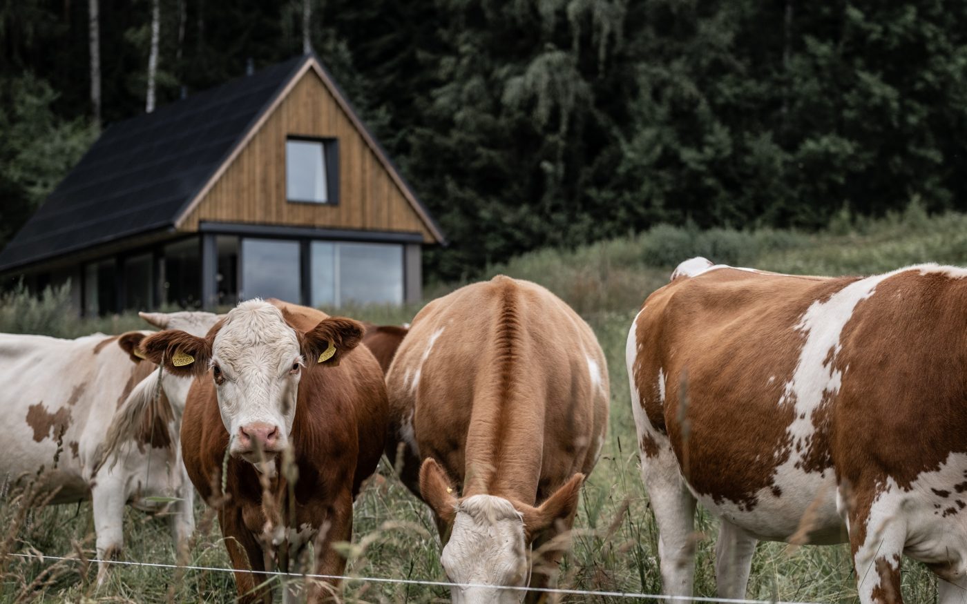 Reference Český soběstačný dům | Wienerberger